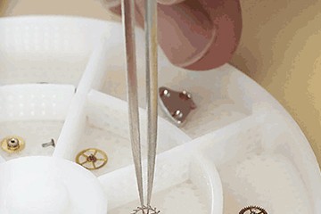 郑州劳力士表壳多少钱